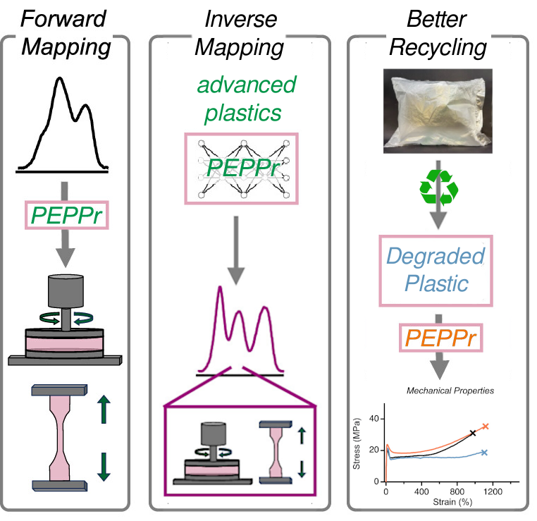 Scientific Work